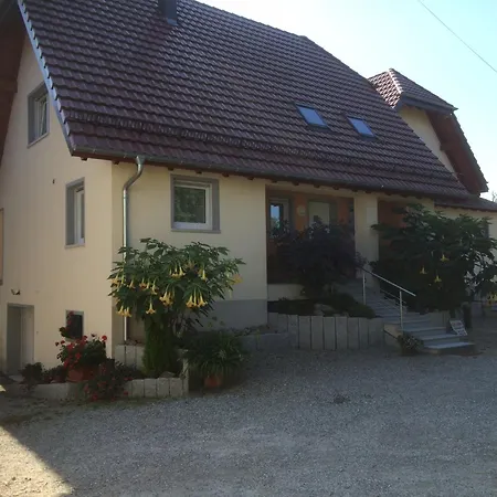 Gite Grewis * La Wantzenau